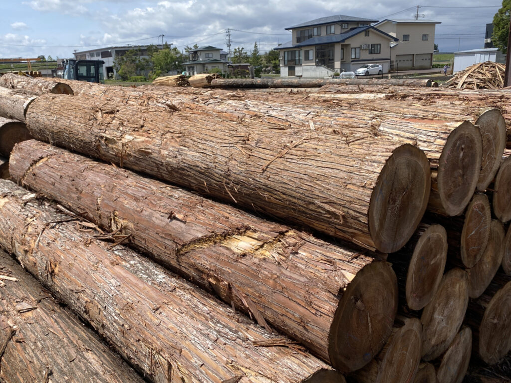 木材の種類と処分ルールの基本